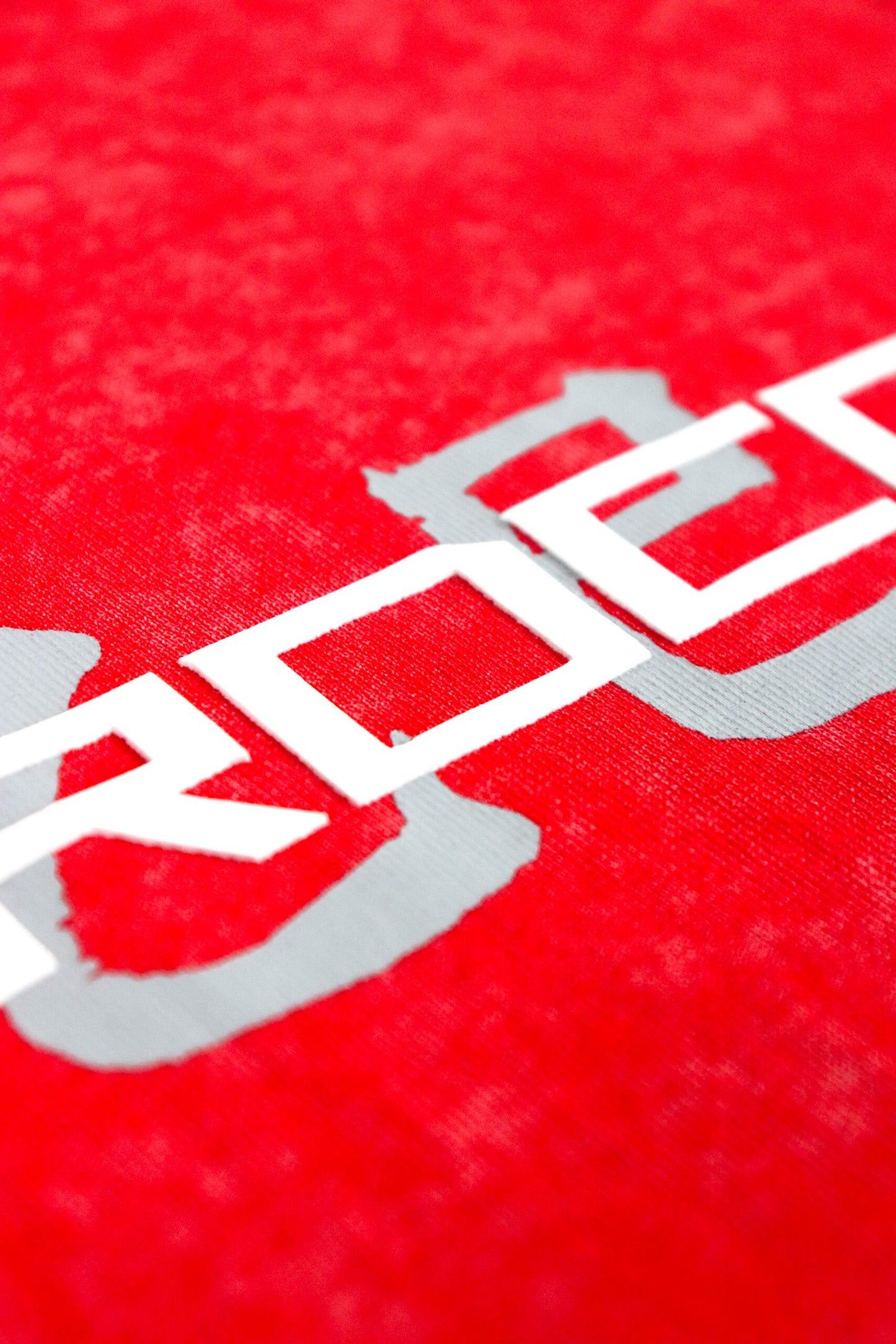 FRDCO : Stoned Snake Bone Washed Tee Red