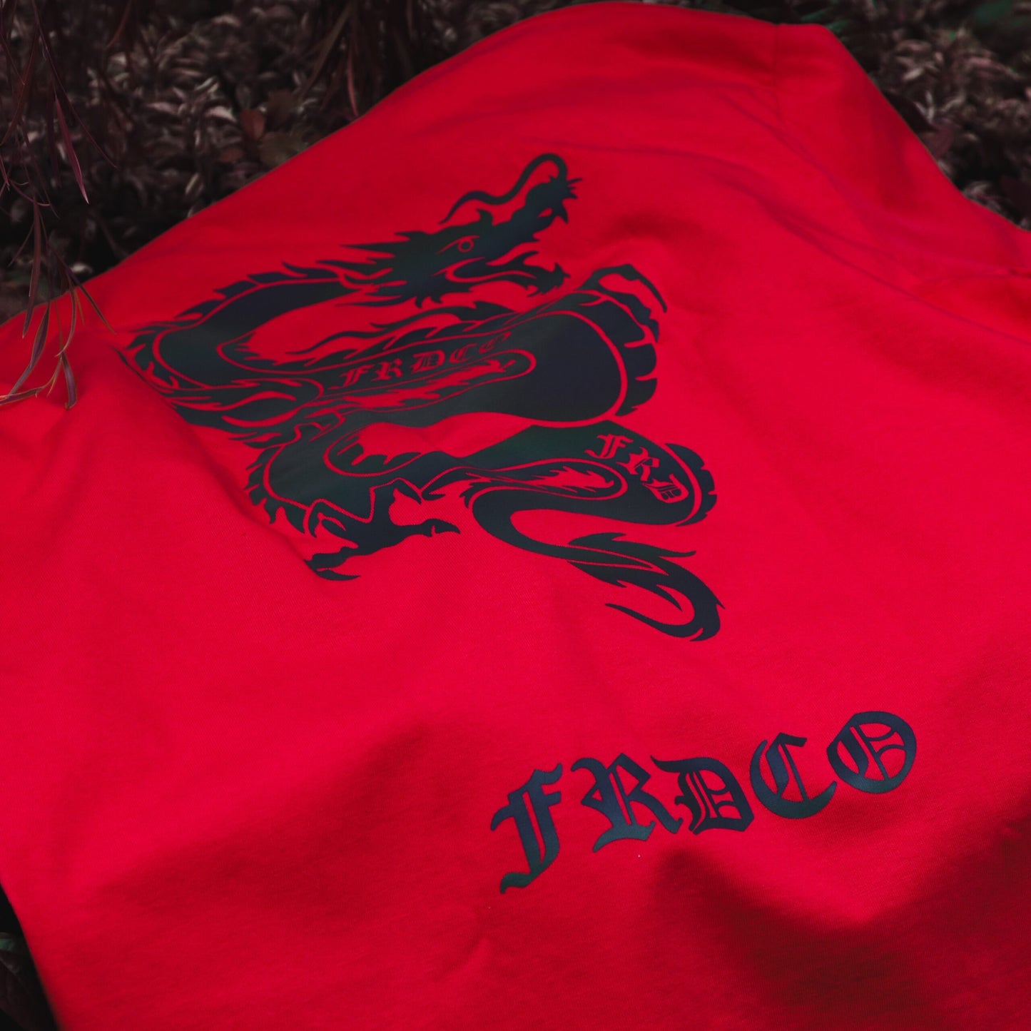 FRDCO : Rainbow Dragon Logo Tee
