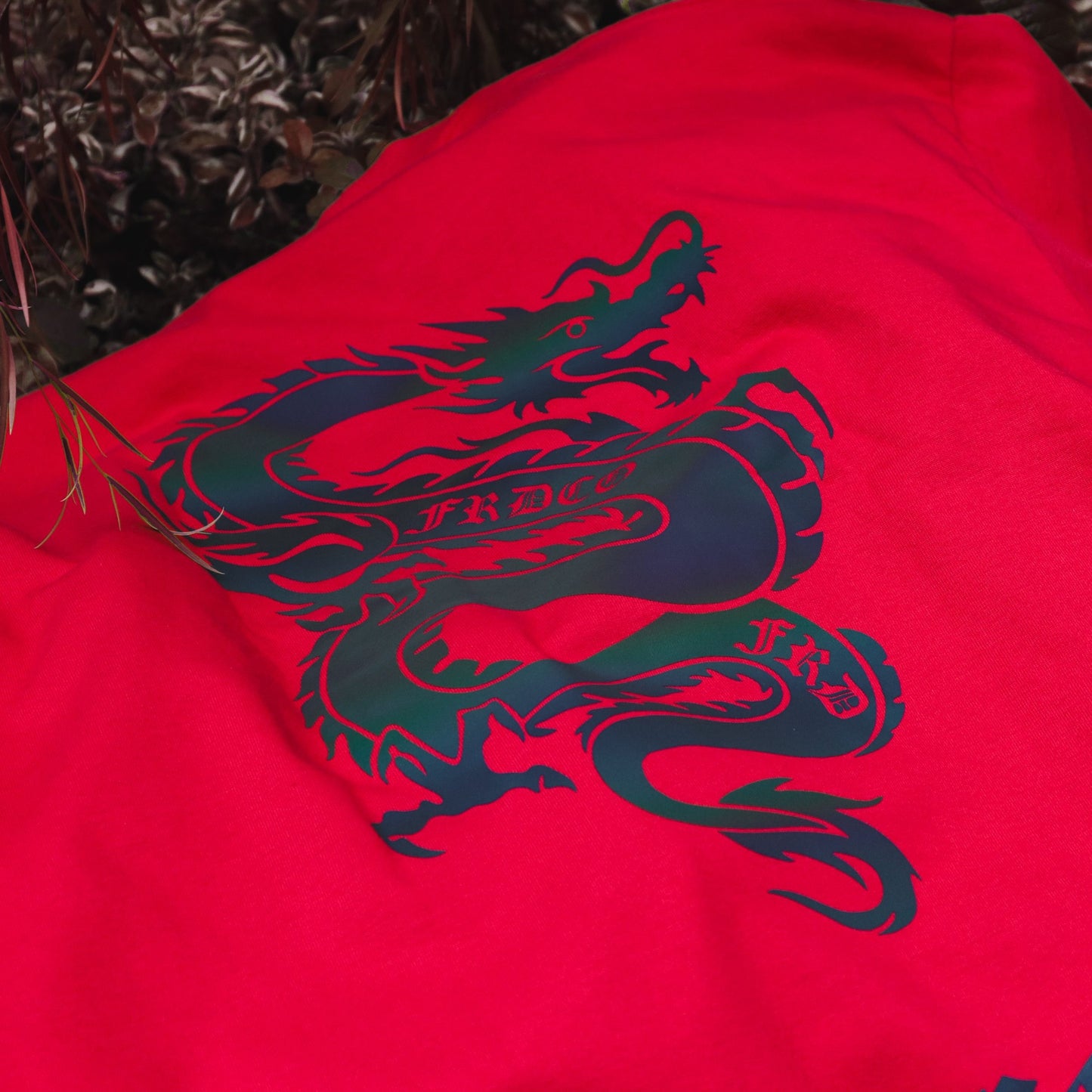 FRDCO : Rainbow Dragon Logo Tee
