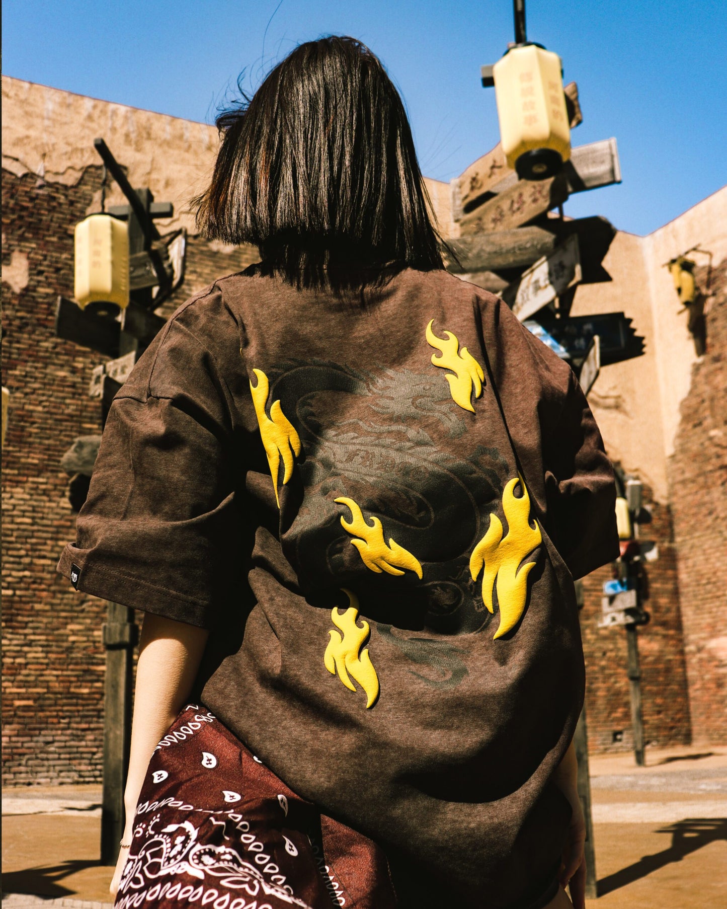 FRDCO : Battle Dragon Washed Tee Brown