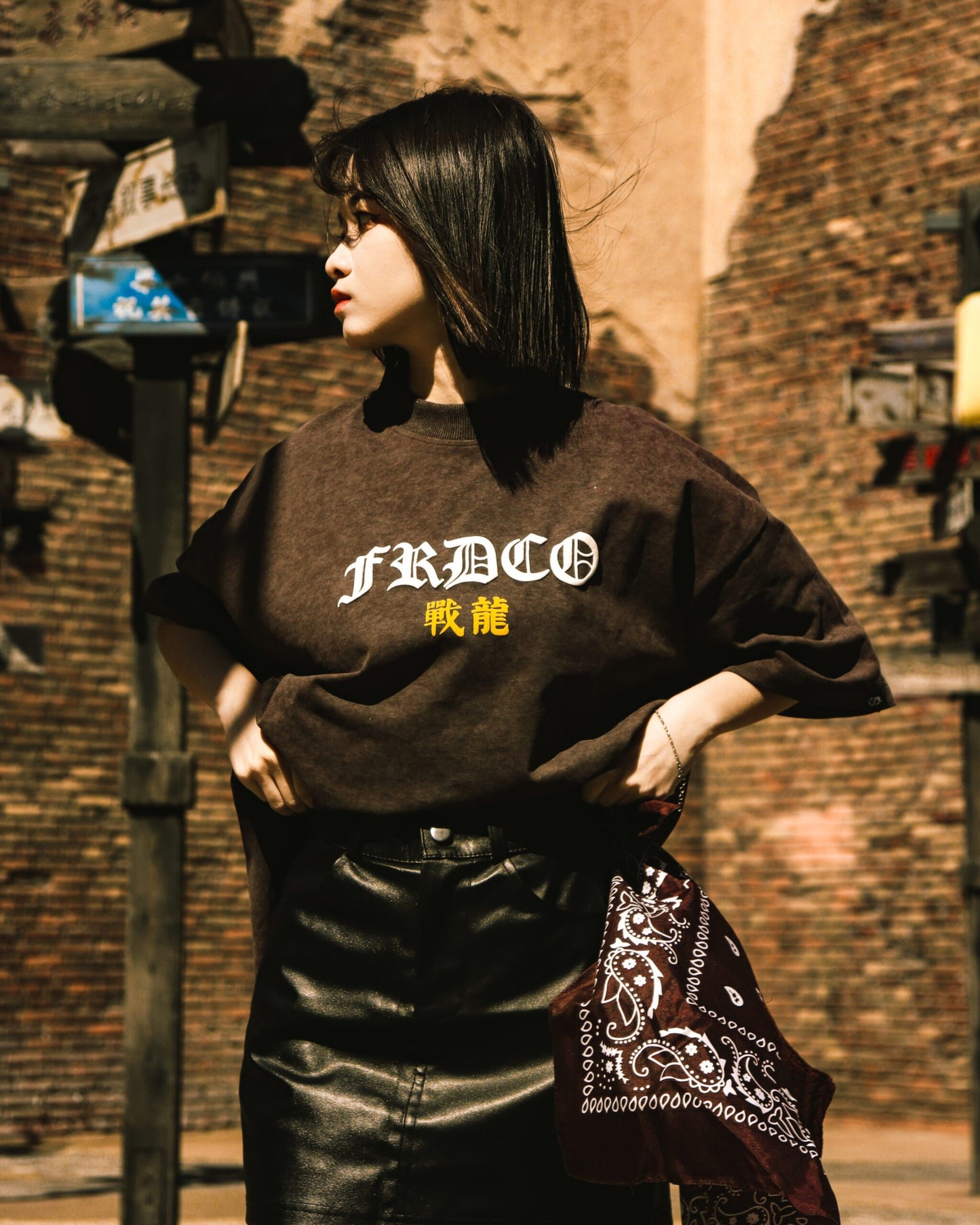 FRDCO : Battle Dragon Washed Tee Brown