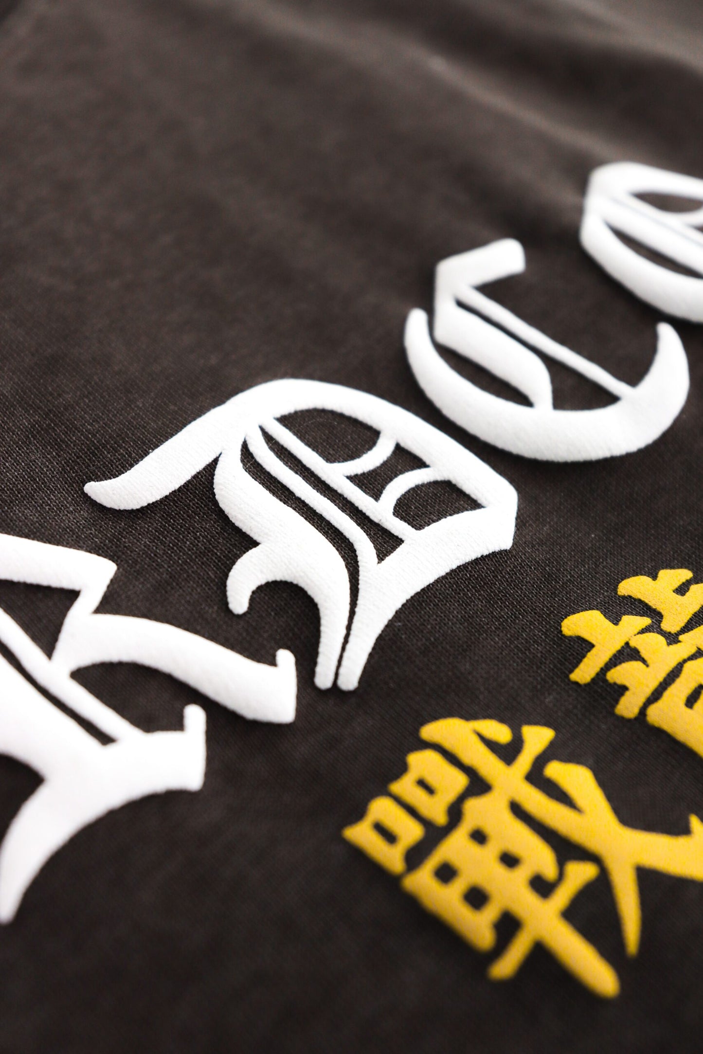 FRDCO : Battle Dragon Washed Tee Brown
