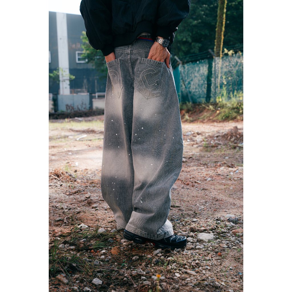 DC Clothing : Baggy Curve Jeans Grey