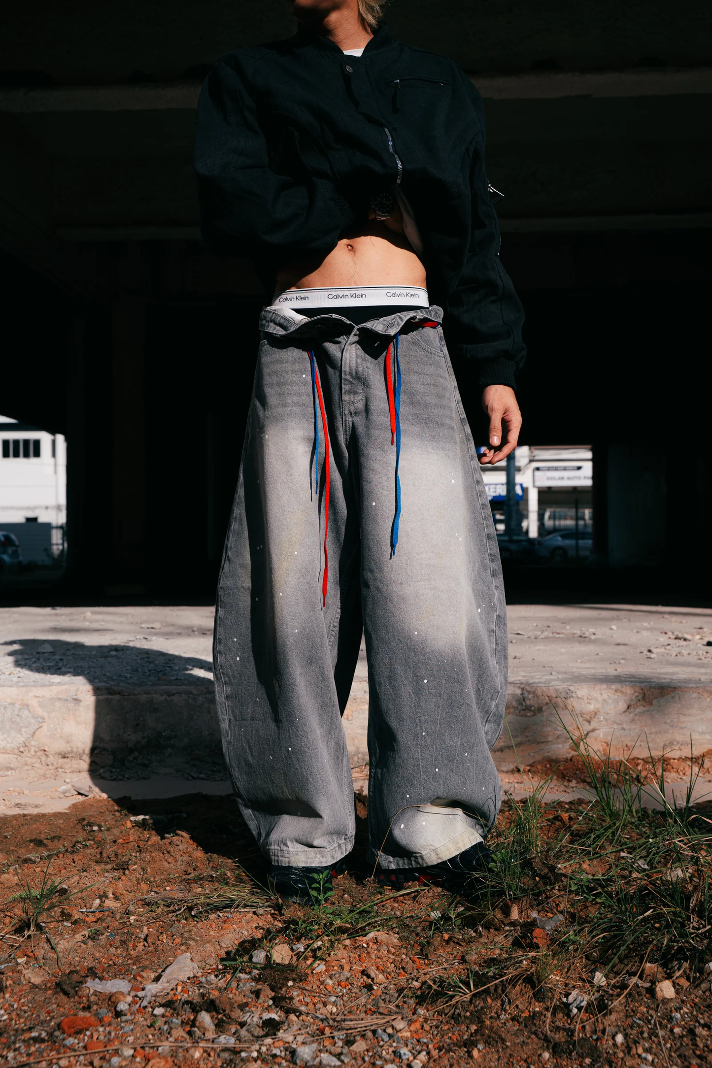 DC Clothing : Baggy Curve Jeans Grey