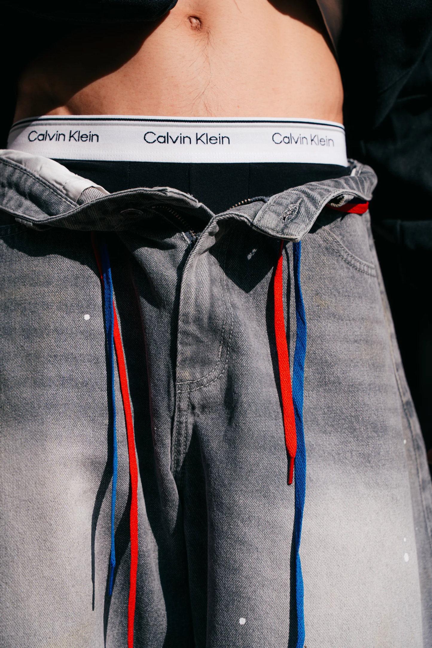 DC Clothing : Baggy Curve Jeans Grey