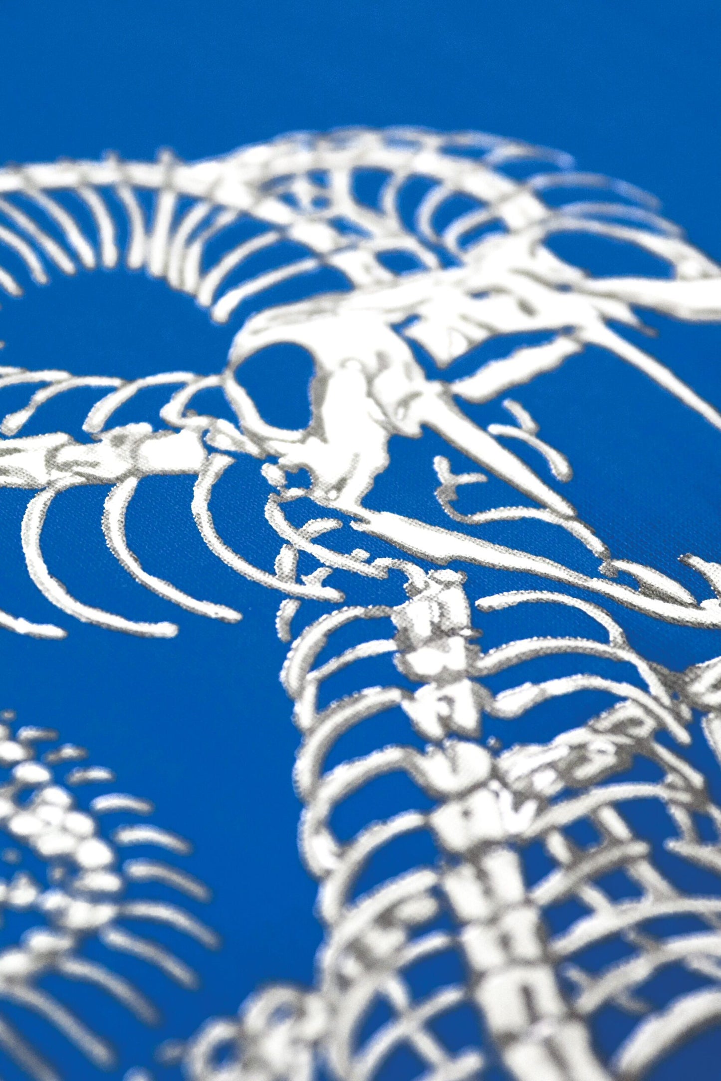 FRDCO : Snake EMP Graphic Tee Navy