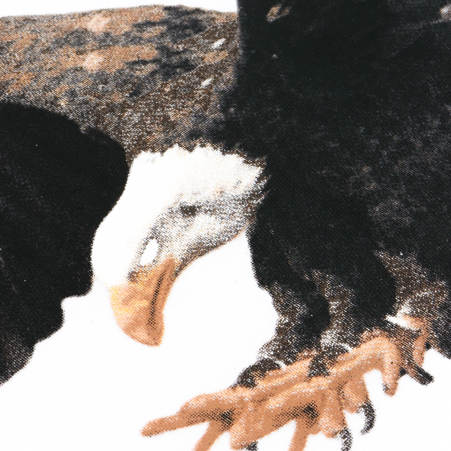 FRDCO x ENDLESS : Eagle Logo Tee
