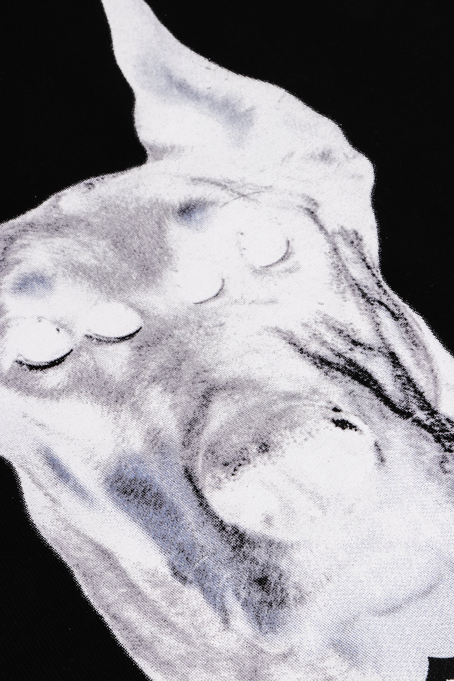 FRDCO : Ghost Dog Head Logo Tee Black